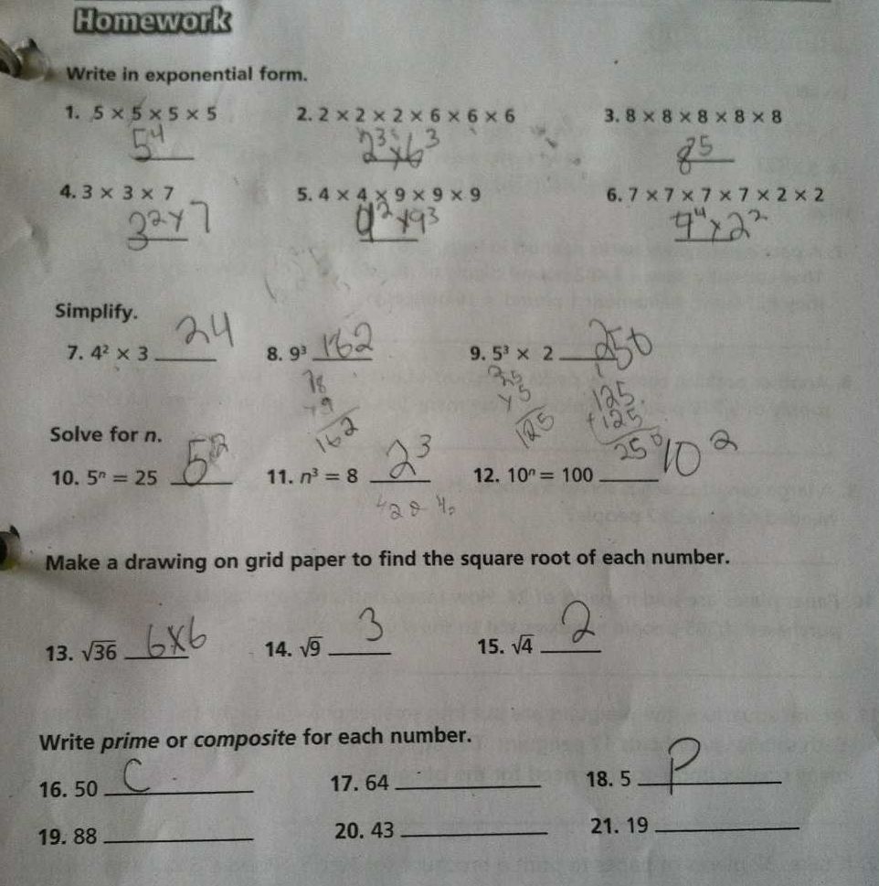 Middle school math homework helper