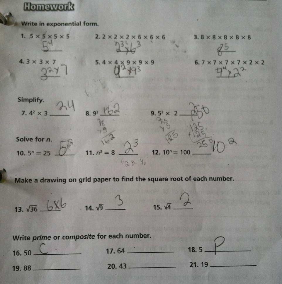 Ap environmental science essay questions answers